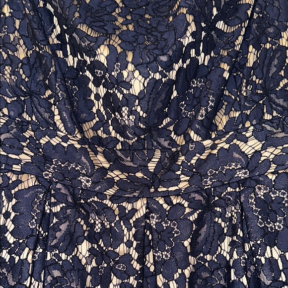 Elegant Navy Lace Dress with Polka Dot Mesh - Picture 6 of 7